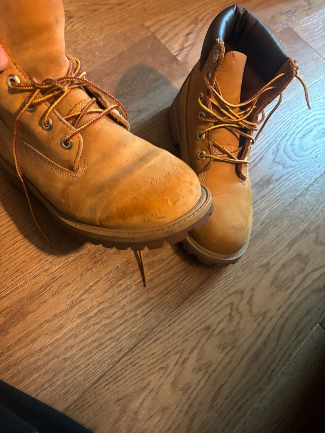 Timberland 6-Inch Premium Waterproof Boot Wheat Size 5.5 Mens 4