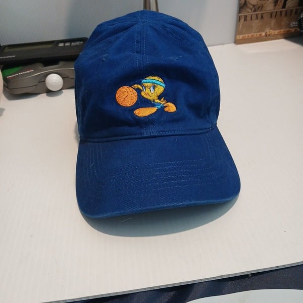 Looney Tunes Tweety Bird Baseball Hat Blue Embroidered Strapback