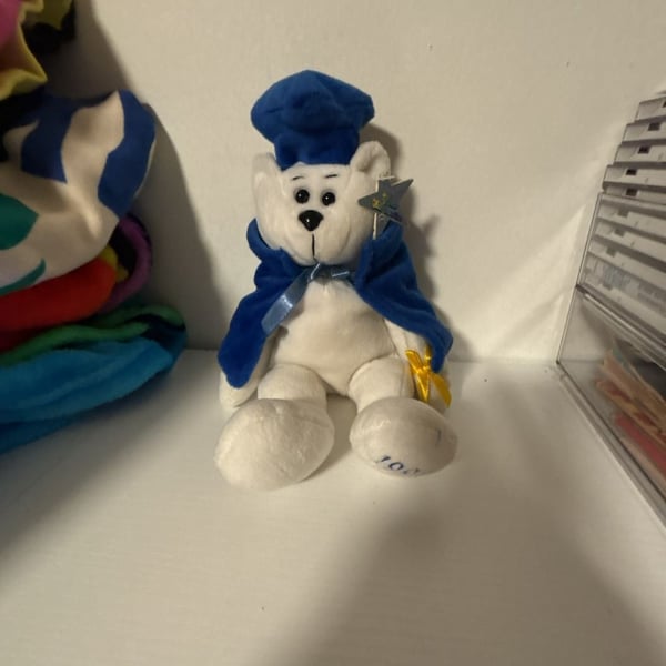 Classic Collecticritters Dustin Graduation Bear 1999 The Graduate