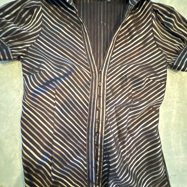 Zara Basic Striped Button-Up Blouse Size L Brown Silver