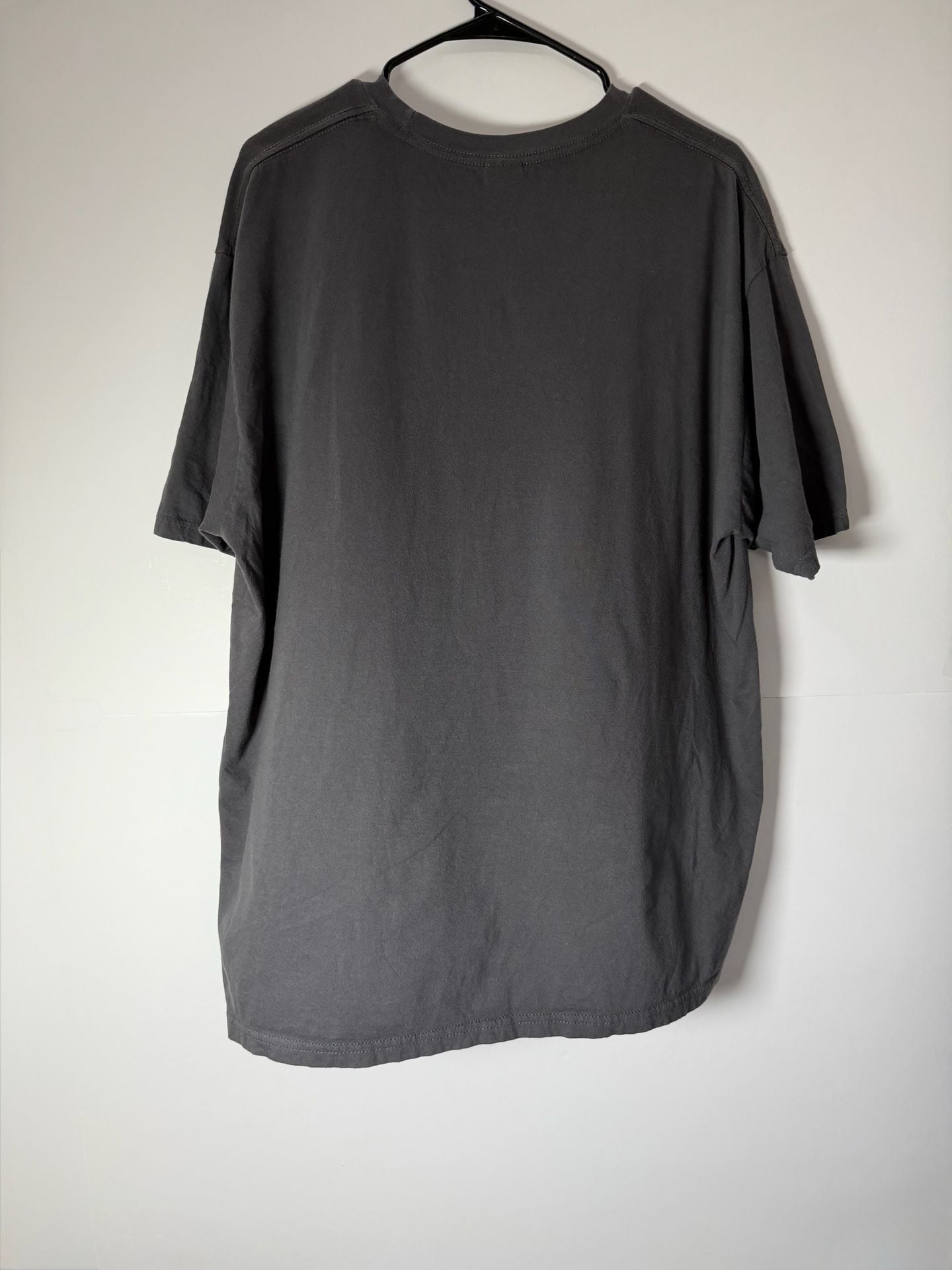 Vintage/Y2K TeeStyled Pittsburgh Football Est 1933 T-Shirt XL Gray 7