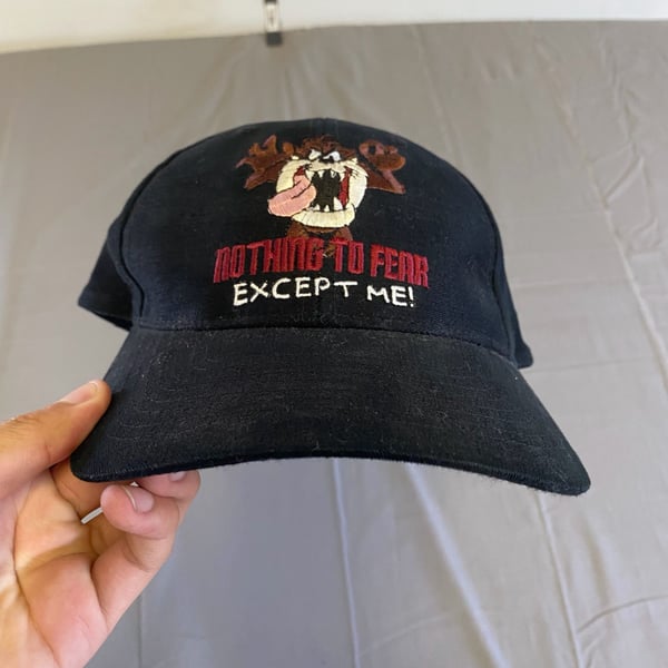 Warner Bros. Tazmanian Devil Snapback Hat Nothing To Fear Except Me