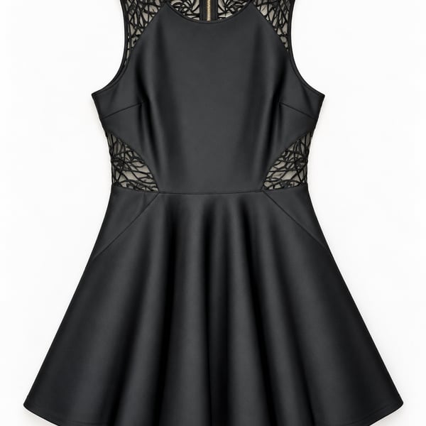 Ted Baker Venma Skater Dress Size 4 Black Lace (q1)