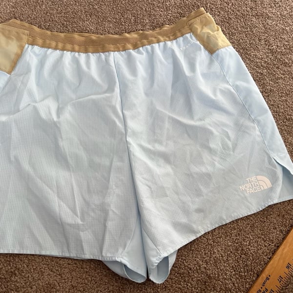 The North Face Lightrange Shorts Size L Blue Athletic Running