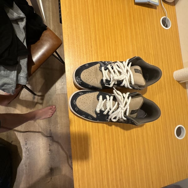 Nike SB Dunk Low Travis Scott Cactus Jack Sneakers