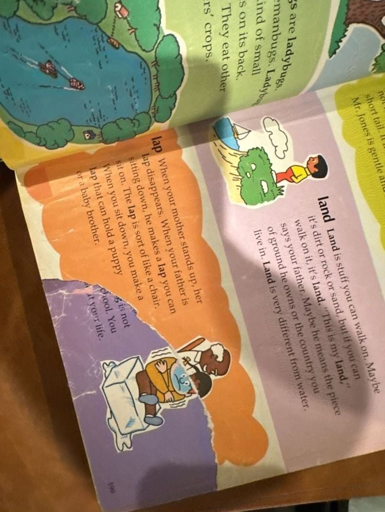 The Southwestern Company My Fun With Words Dictionary Book Two L-Z 8