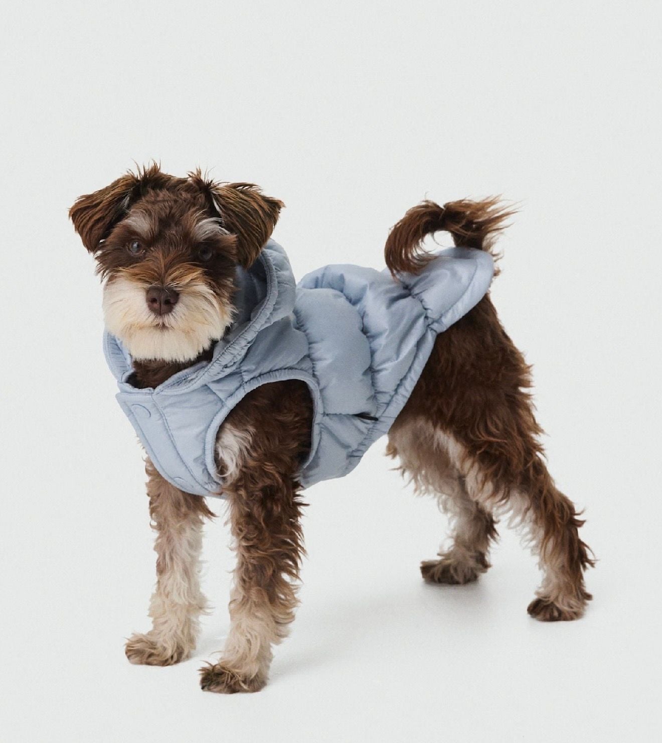 Aritzia The Super Ruff Puff Dog Parka Dew Blue size Small 4