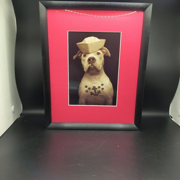 Loose Leashes Fluke Sailor Dog Pit Bull Art Print Framed