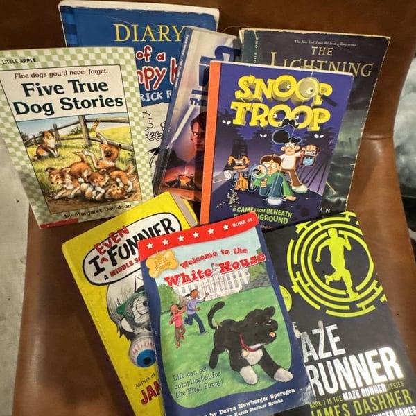 Lot of 8 books used