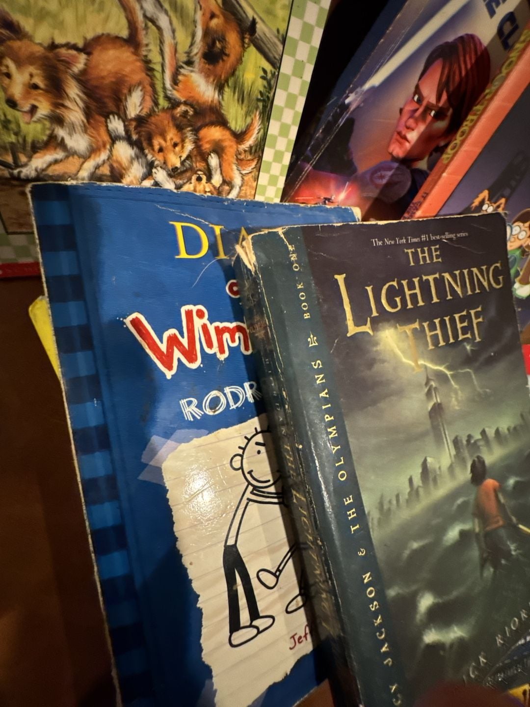 Lot of 8 books used 5