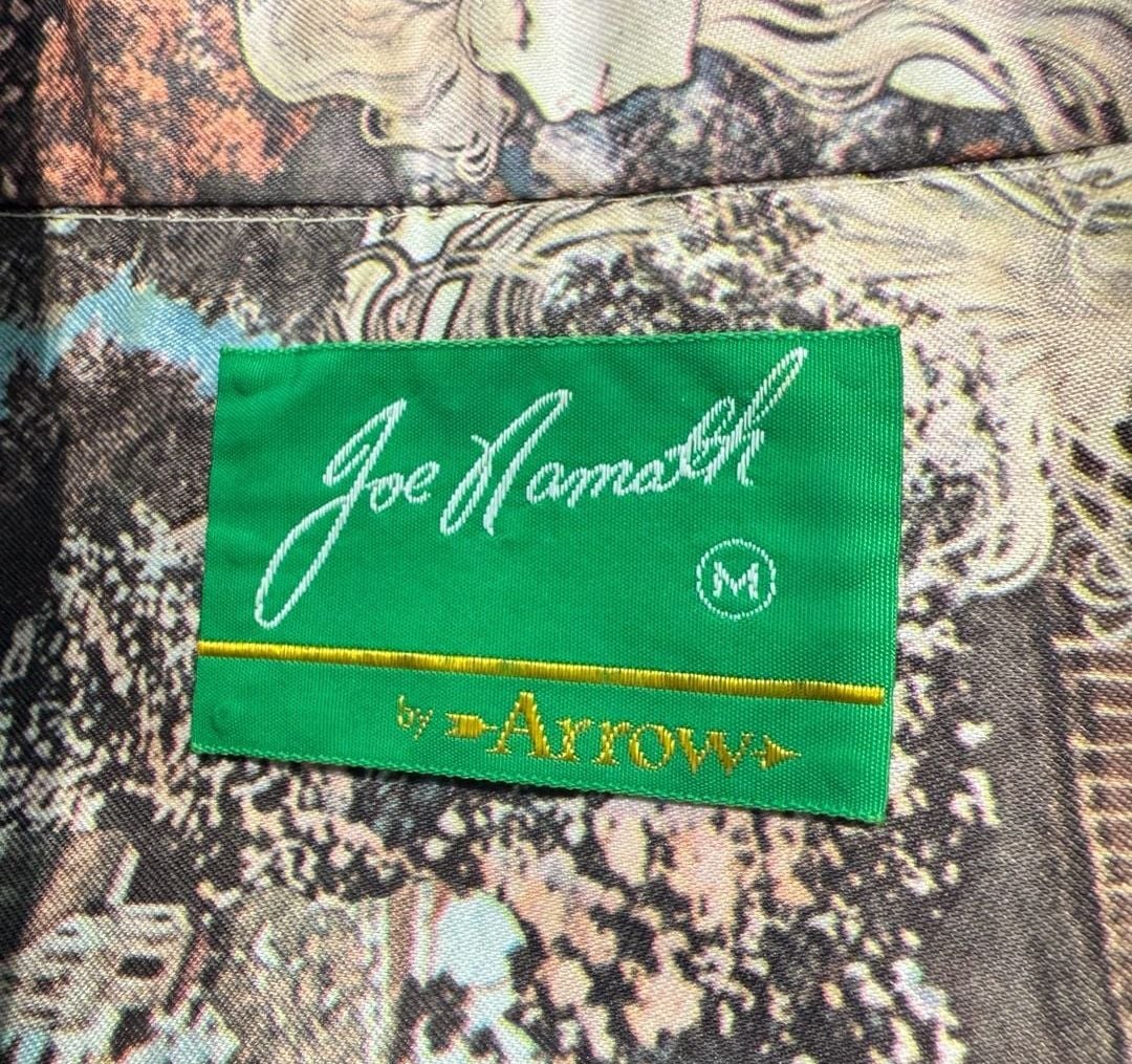 Vintage 70s Joe Namath by Arrow Men’s M Nylon Scenic Disco Shirt USA 3