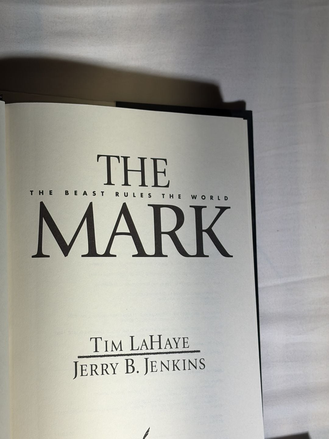The Mark The Beast Rules the World Left Behind 8 Hardcover Book 14