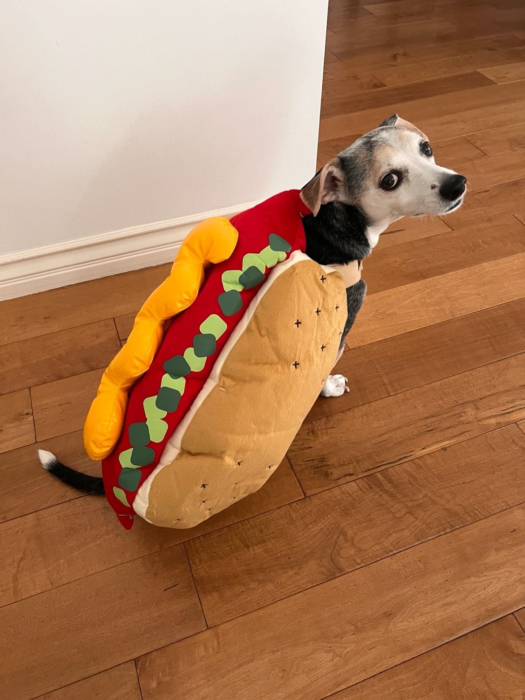 Hot Dog Pet Costume Plush Food Dog Halloween Costume 1
