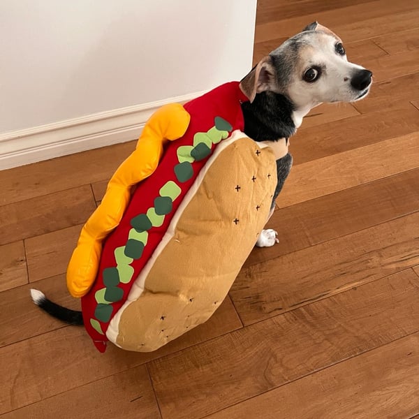 Hot Dog Pet Costume Plush Food Dog Halloween Costume