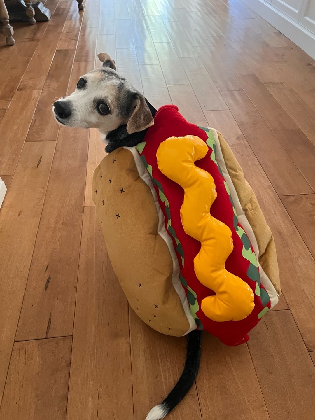 Hot Dog Pet Costume Plush Food Dog Halloween Costume 2