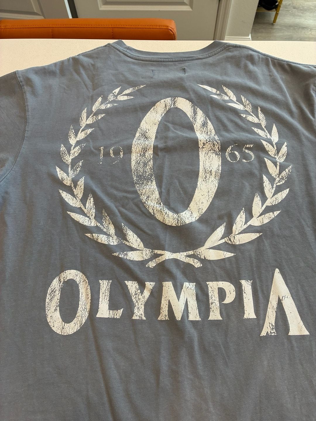 Gymreapers Olympia T-Shirt Size XL Gray Graphic Tee 4