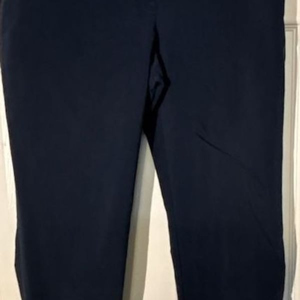 Ann Taylor Factory Pants Size 4 Navy Blue Ankle Work Trousers Button Hem