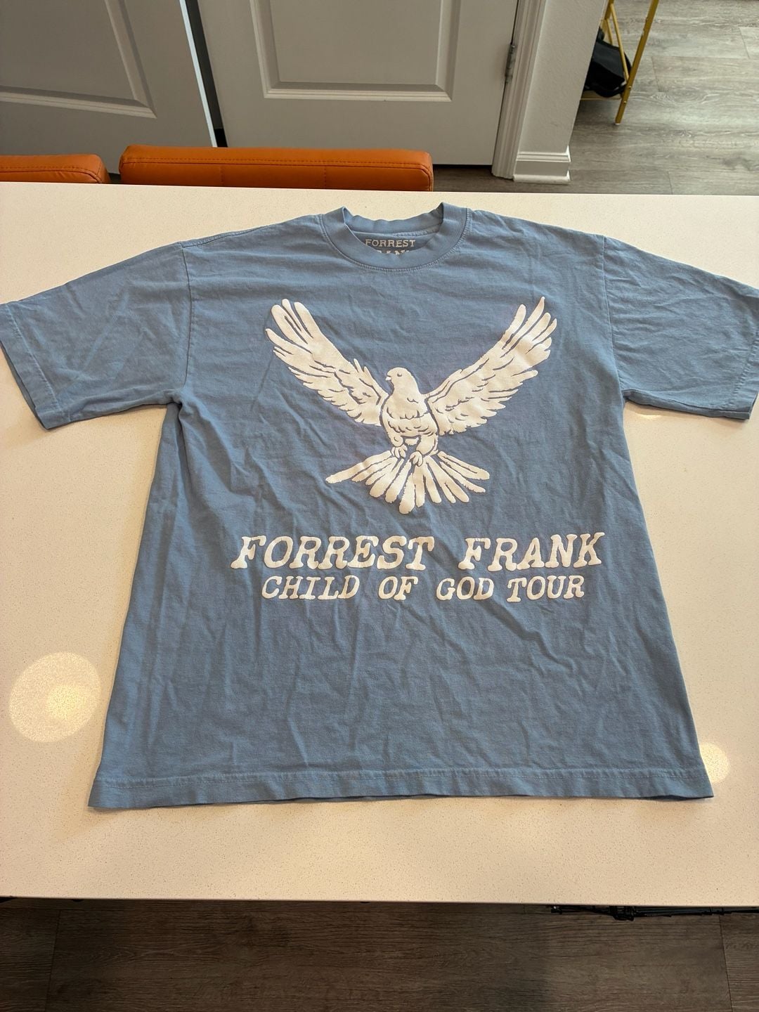 Forrest Frank Child Of God Tour 2025 T-Shirt Size Medium Blue 2