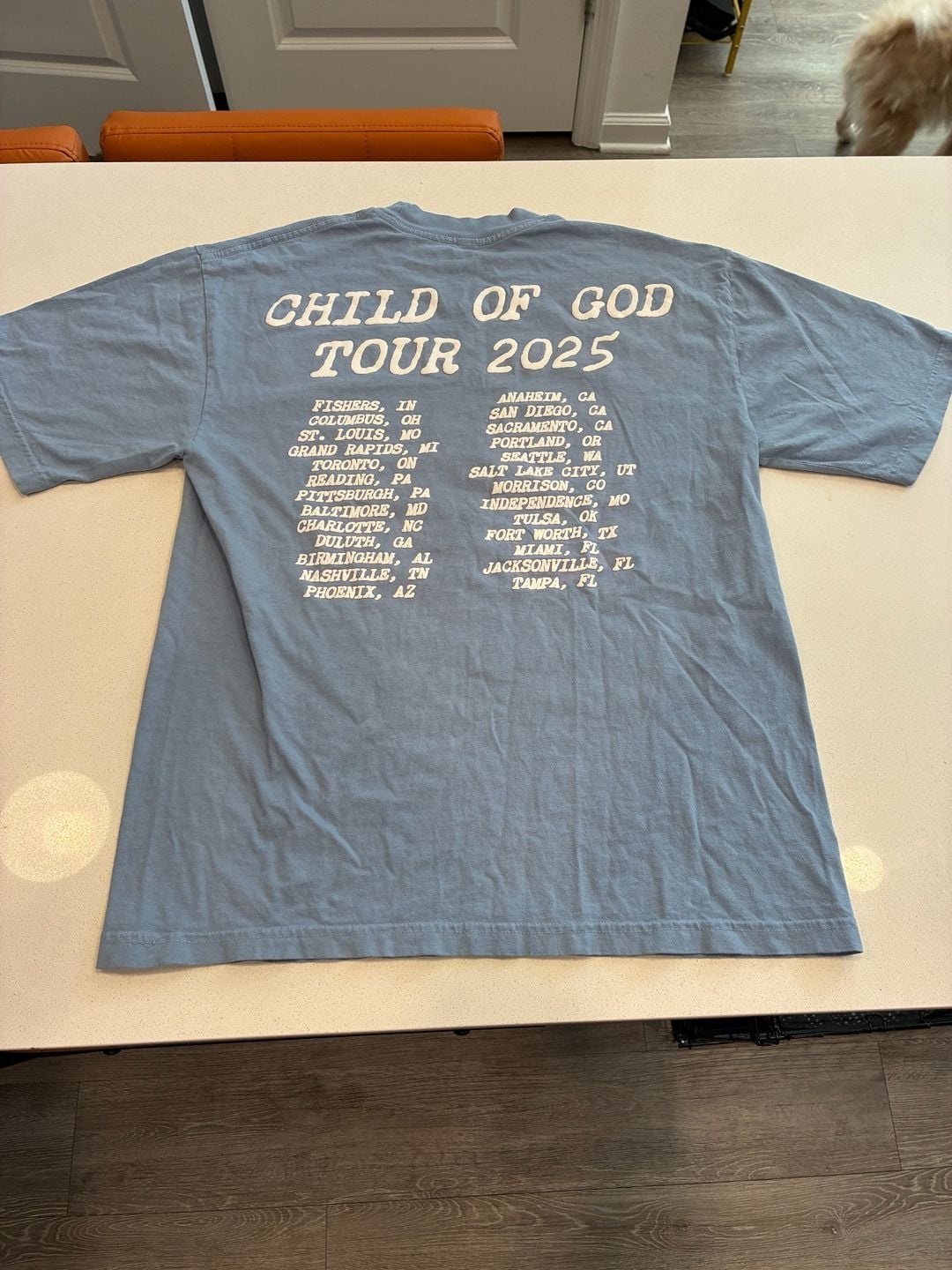 Forrest Frank Child Of God Tour 2025 T-Shirt Size Medium Blue 3