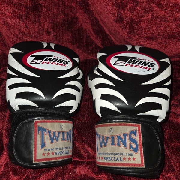 Twins Special Muay Thai Fancy Boxing Gloves Black