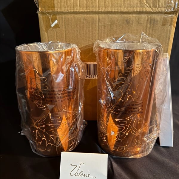 Valerie Set of 2 8 Illuminated Etched Mercury Glass Pillars Copper Leaf