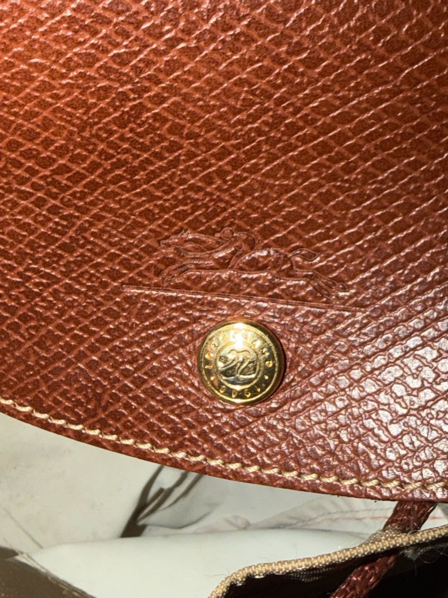 Longchamp Nylon Backpack Brown Leather Trim 5