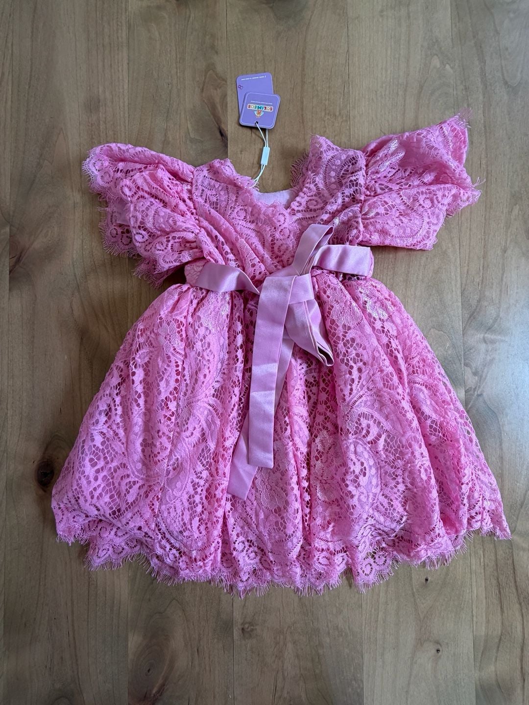 Eulimere Pink Lace Dress Floral Sash New (12-18 Months) 8
