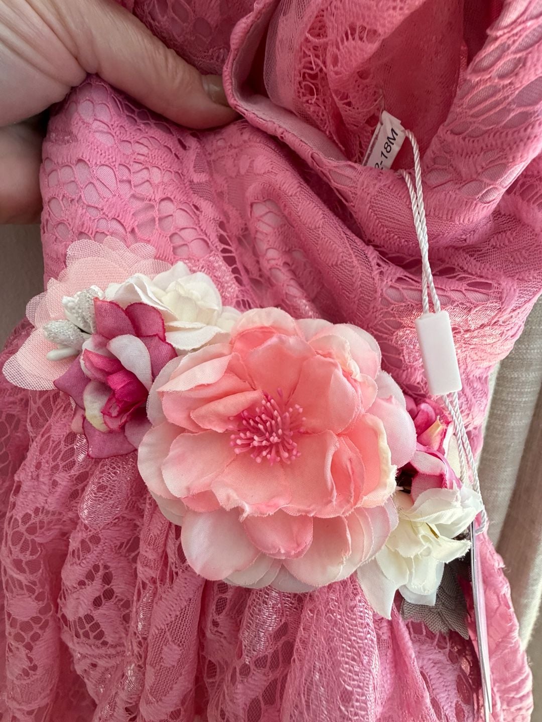 Eulimere Pink Lace Dress Floral Sash New (12-18 Months) 12