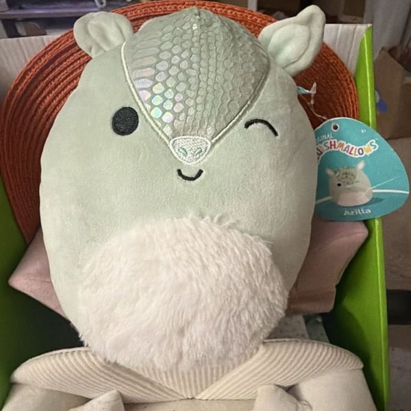 Squishmallows Arilla The Armadillo 7.5 Inch Plush Toy