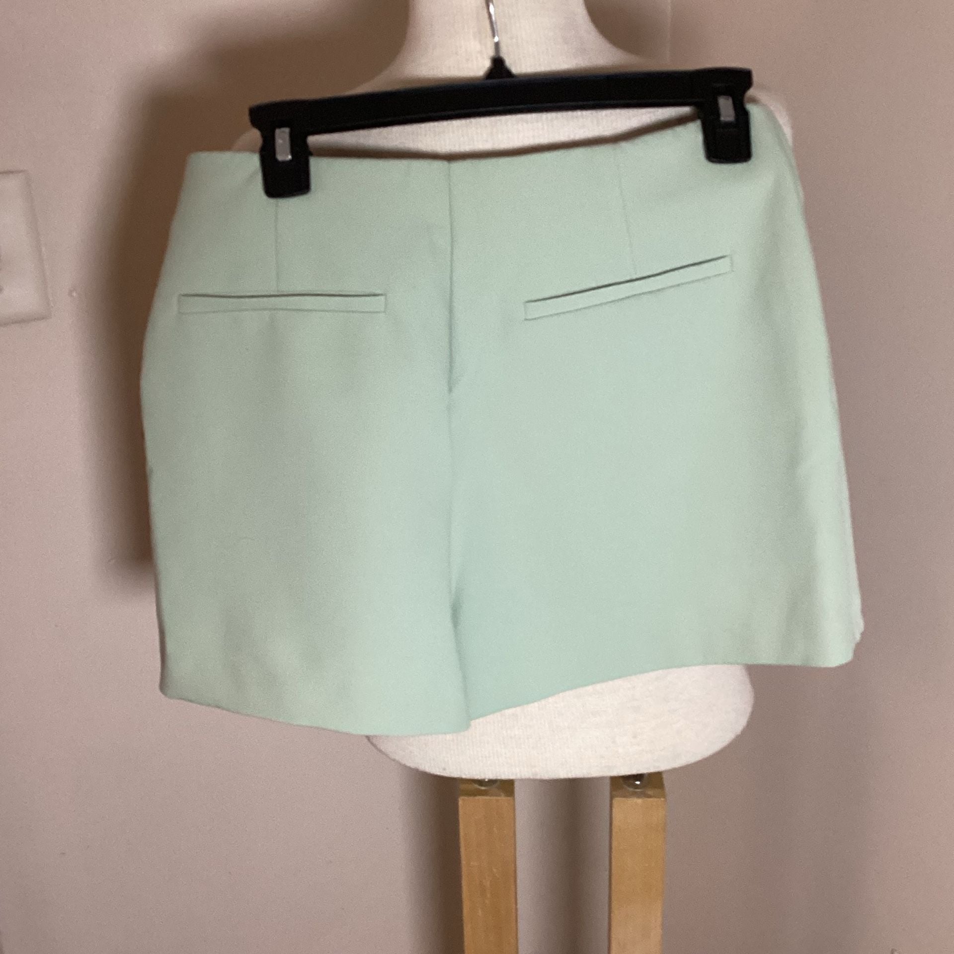 Zara Skort Size M Sage Green Wrap Skirt Shorts Tailored 4