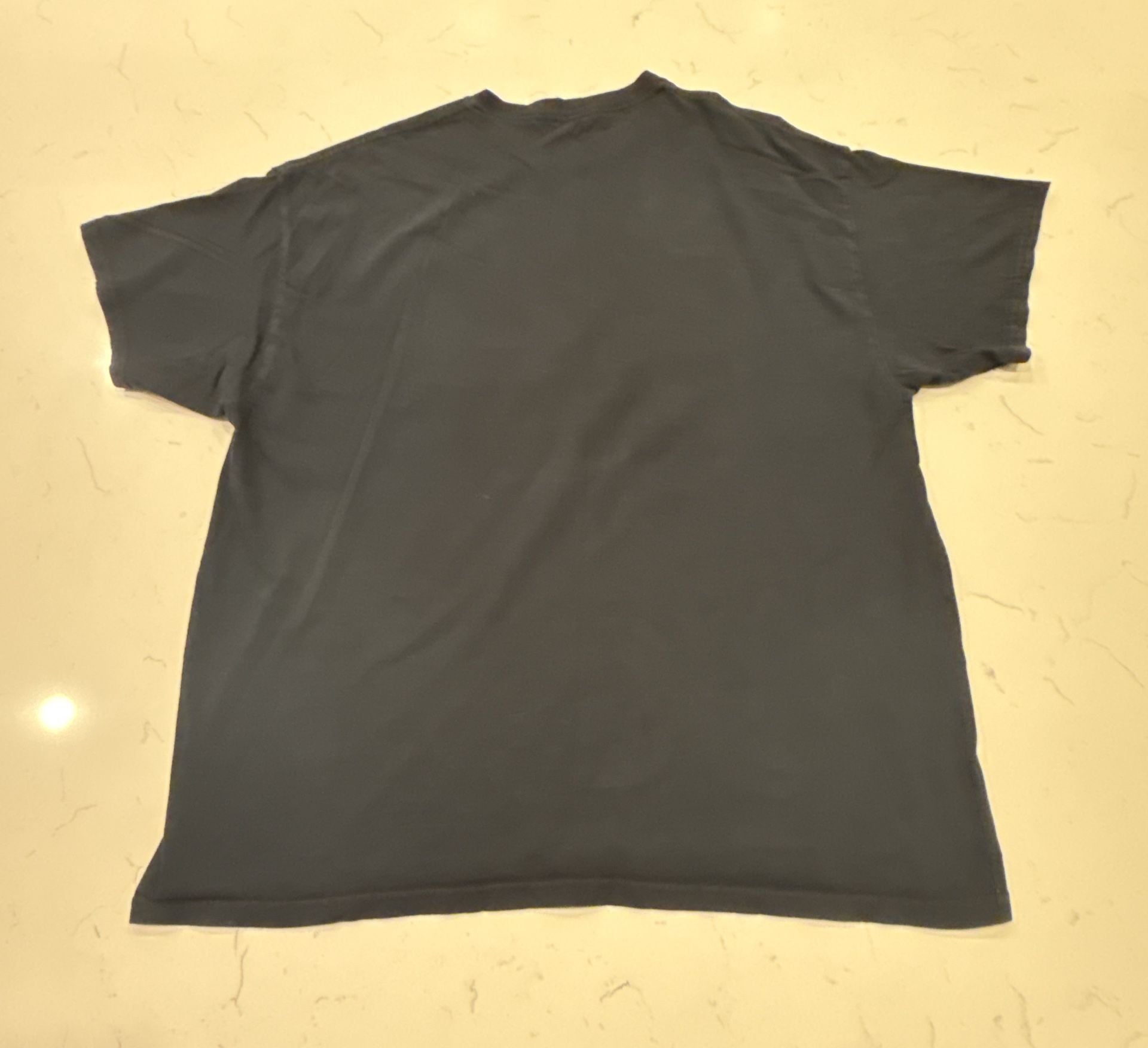 Demon Slayer Anime Graphic T-Shirt XL Black Tanjiro Panels Tee 7