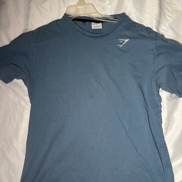 Gymshark Essential Short Sleeve T-Shirt Size L Blue