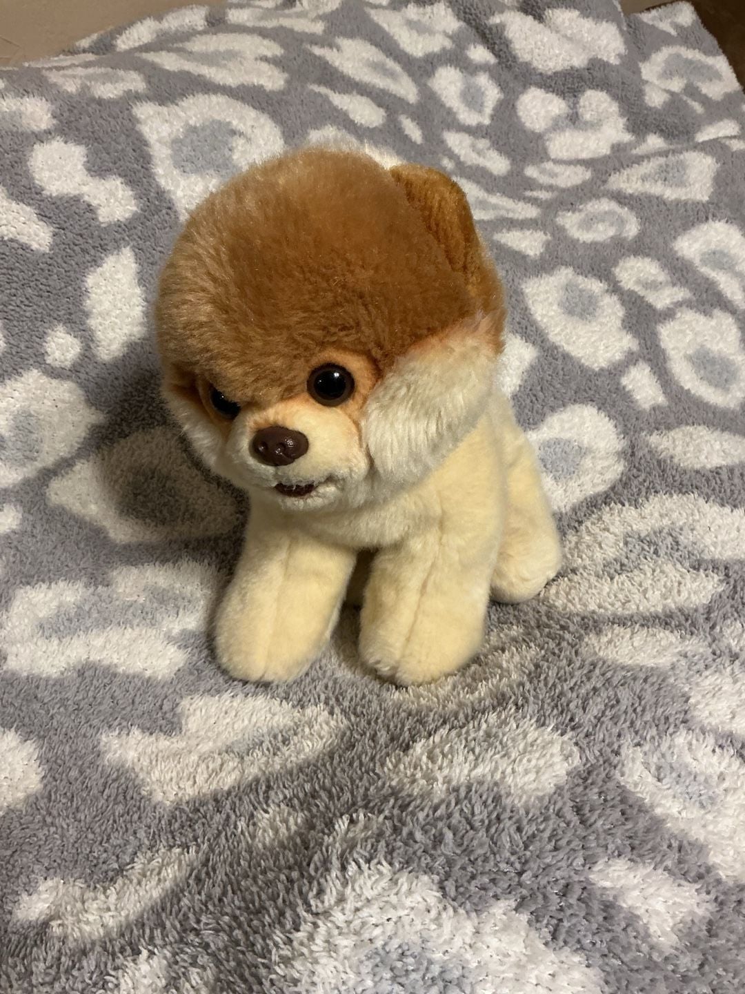 Gund Boo The World's Cutest Dog Pomeranian Plush Stuffed Animal 1