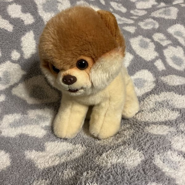 Gund Boo The World's Cutest Dog Pomeranian Plush Stuffed Animal