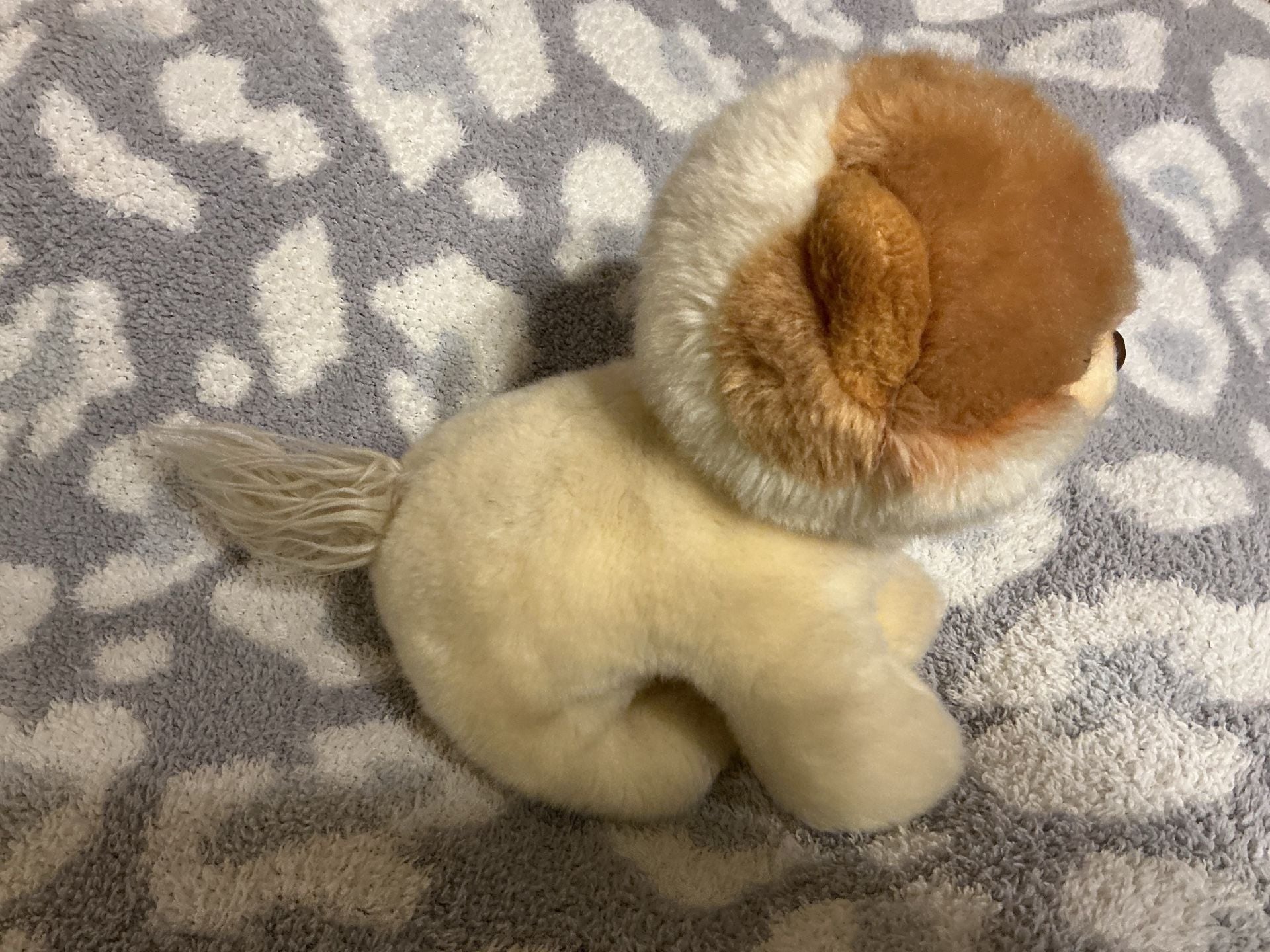 Gund Boo The World's Cutest Dog Pomeranian Plush Stuffed Animal 4