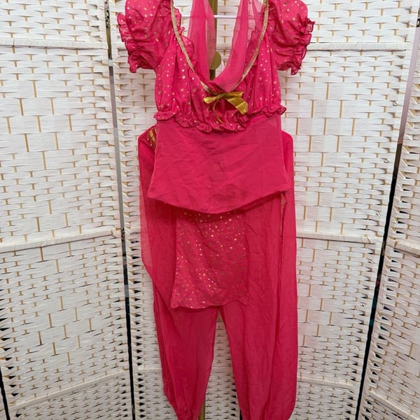 Dreamgirl Arabian Nights Princess Costume Size Small Pink Belly Dancer
