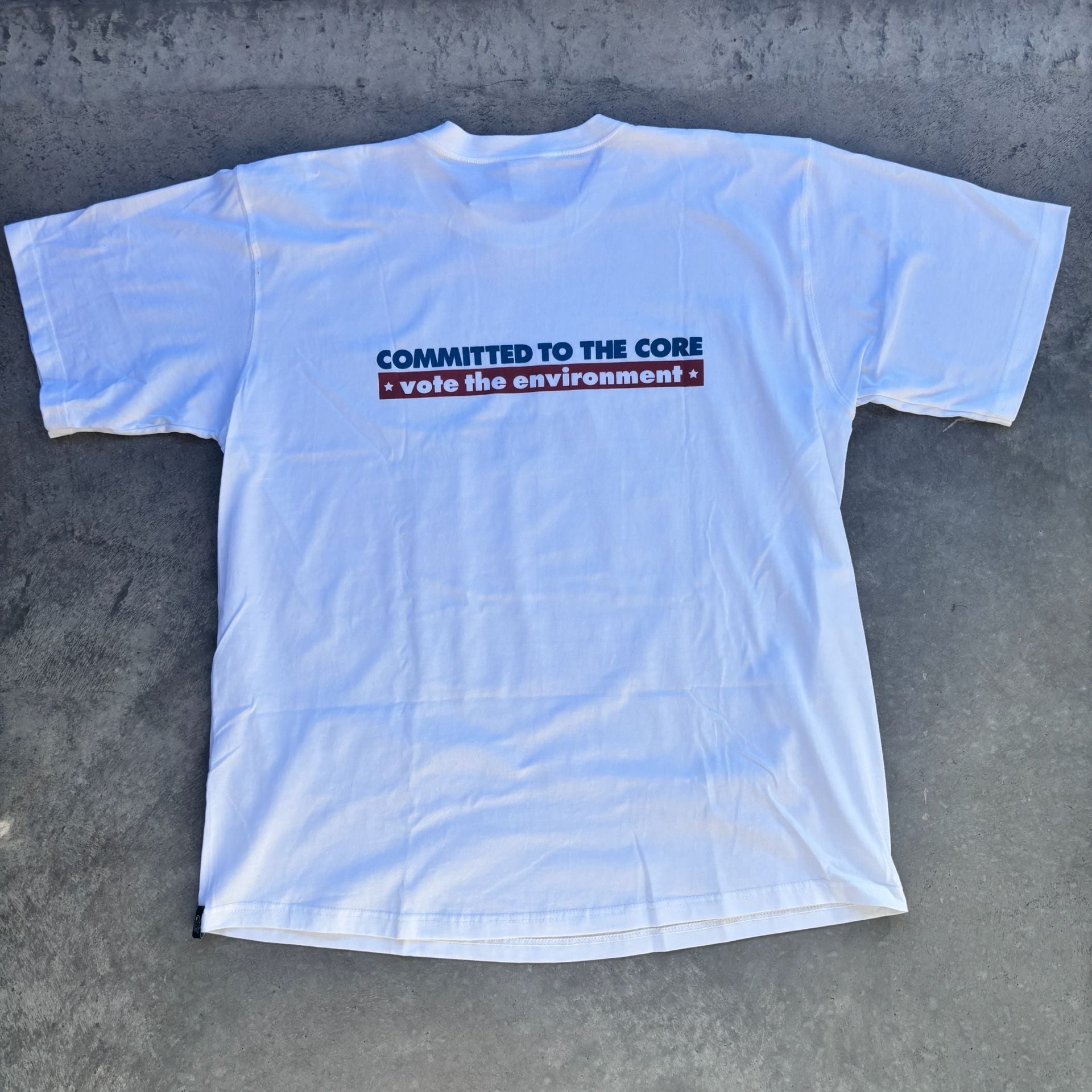 2004 Vintage Patagonia Vote The Environment Beneficial T-Shirt NWT Size L 8