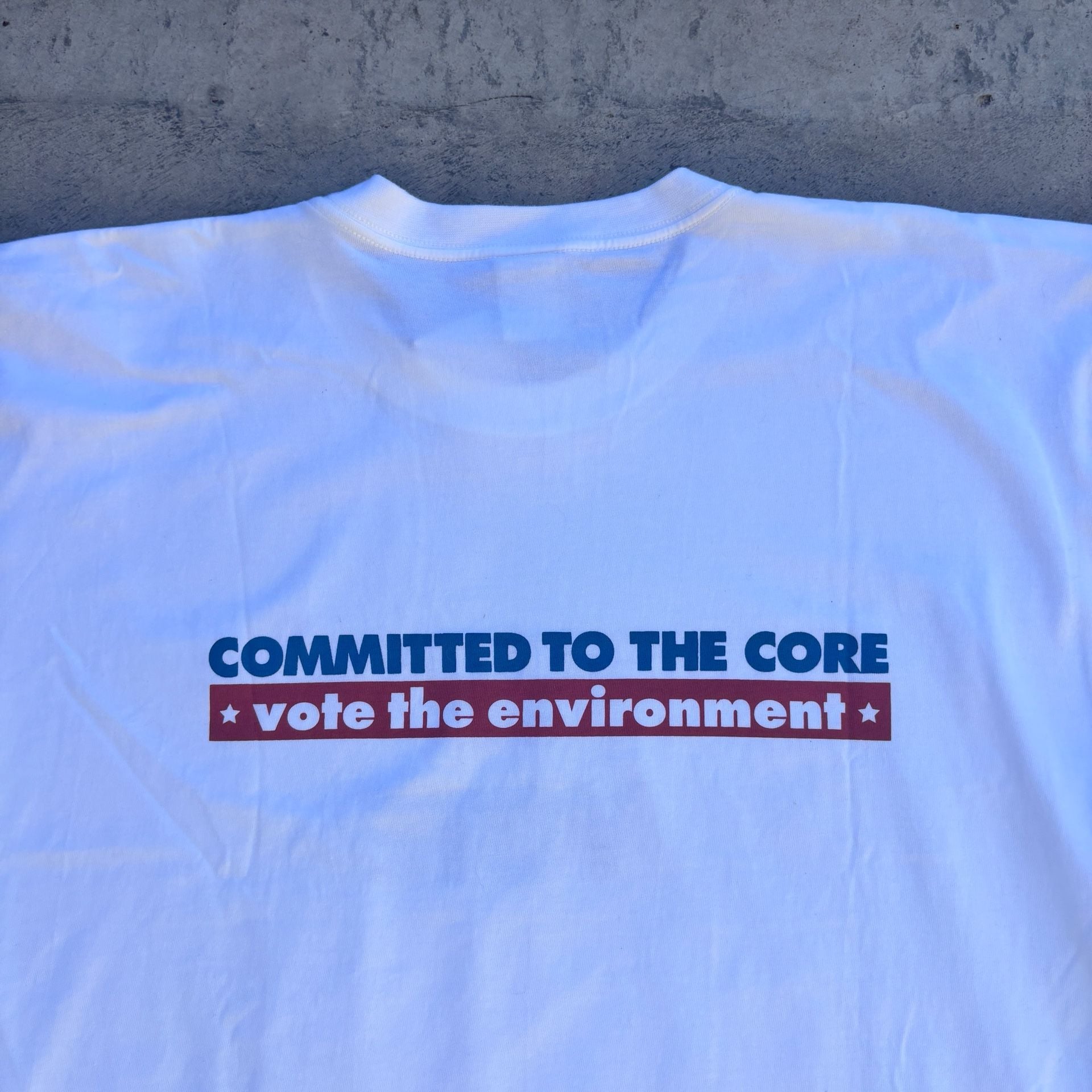 2004 Vintage Patagonia Vote The Environment Beneficial T-Shirt NWT Size L 9