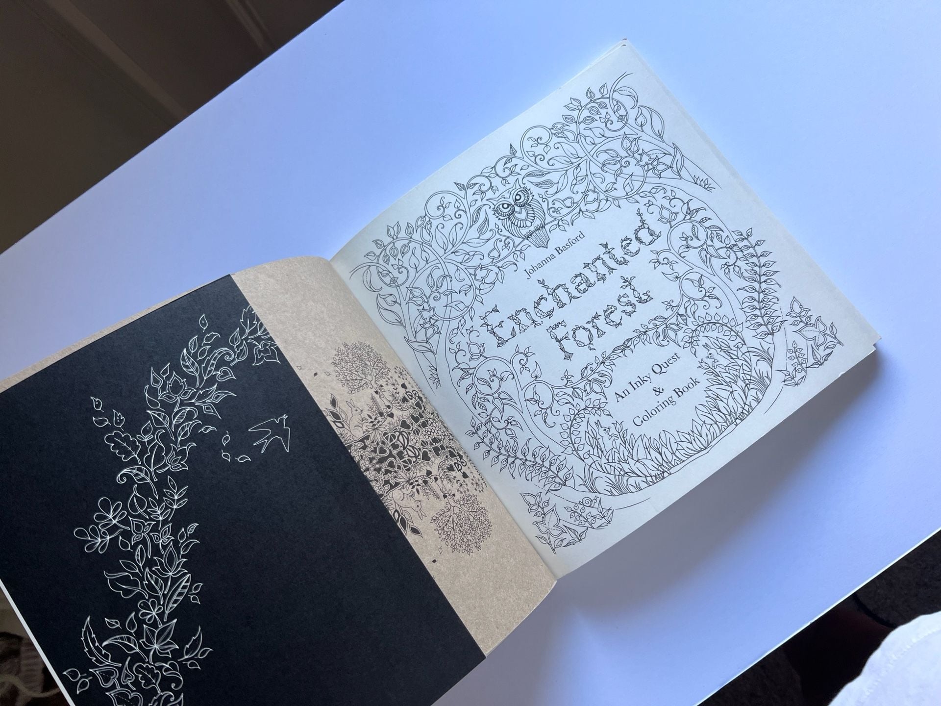 Enchanted Forest An Inky Quest And Coloring Book By Johanna Basford 3