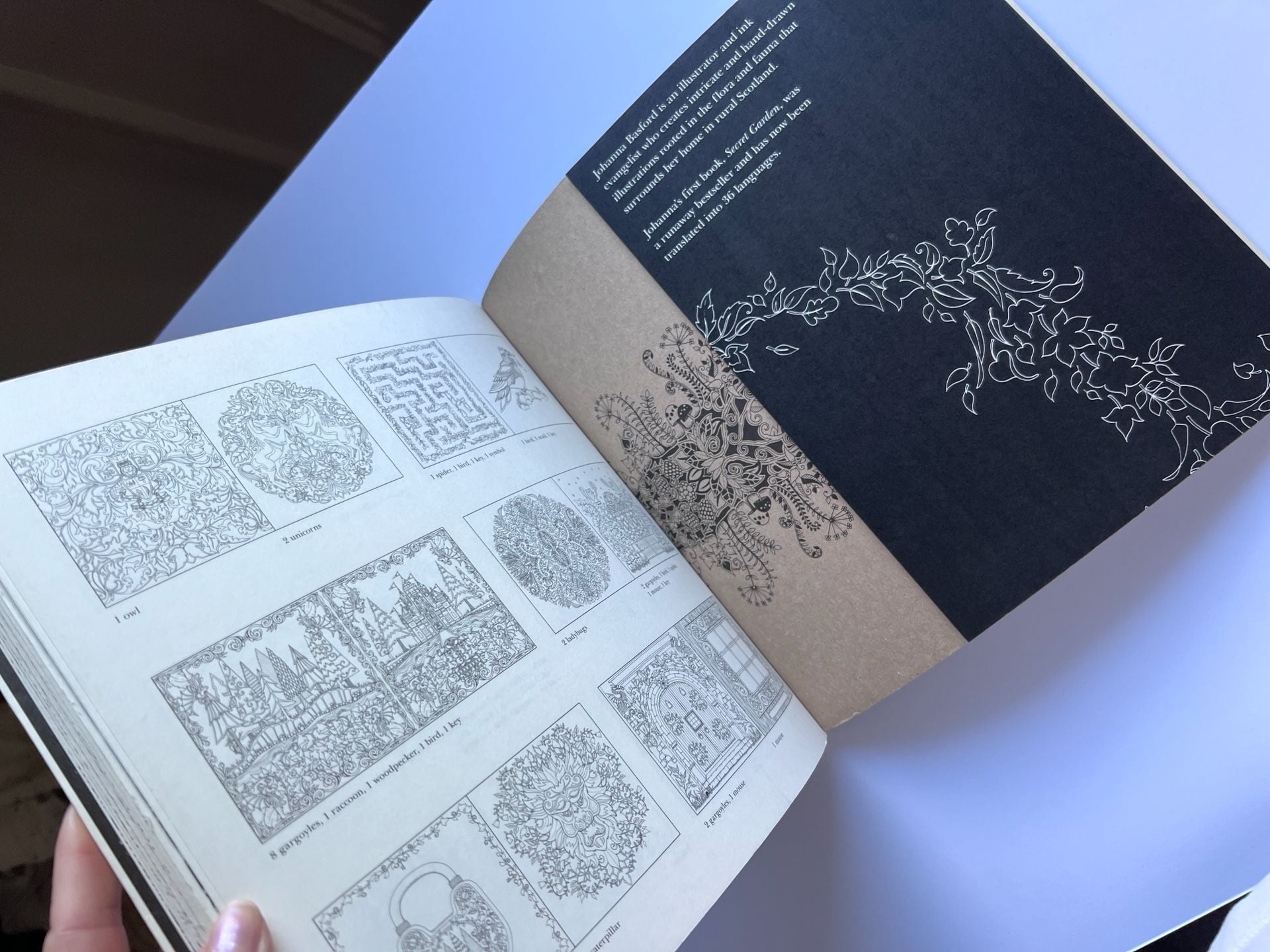Enchanted Forest An Inky Quest And Coloring Book By Johanna Basford 5