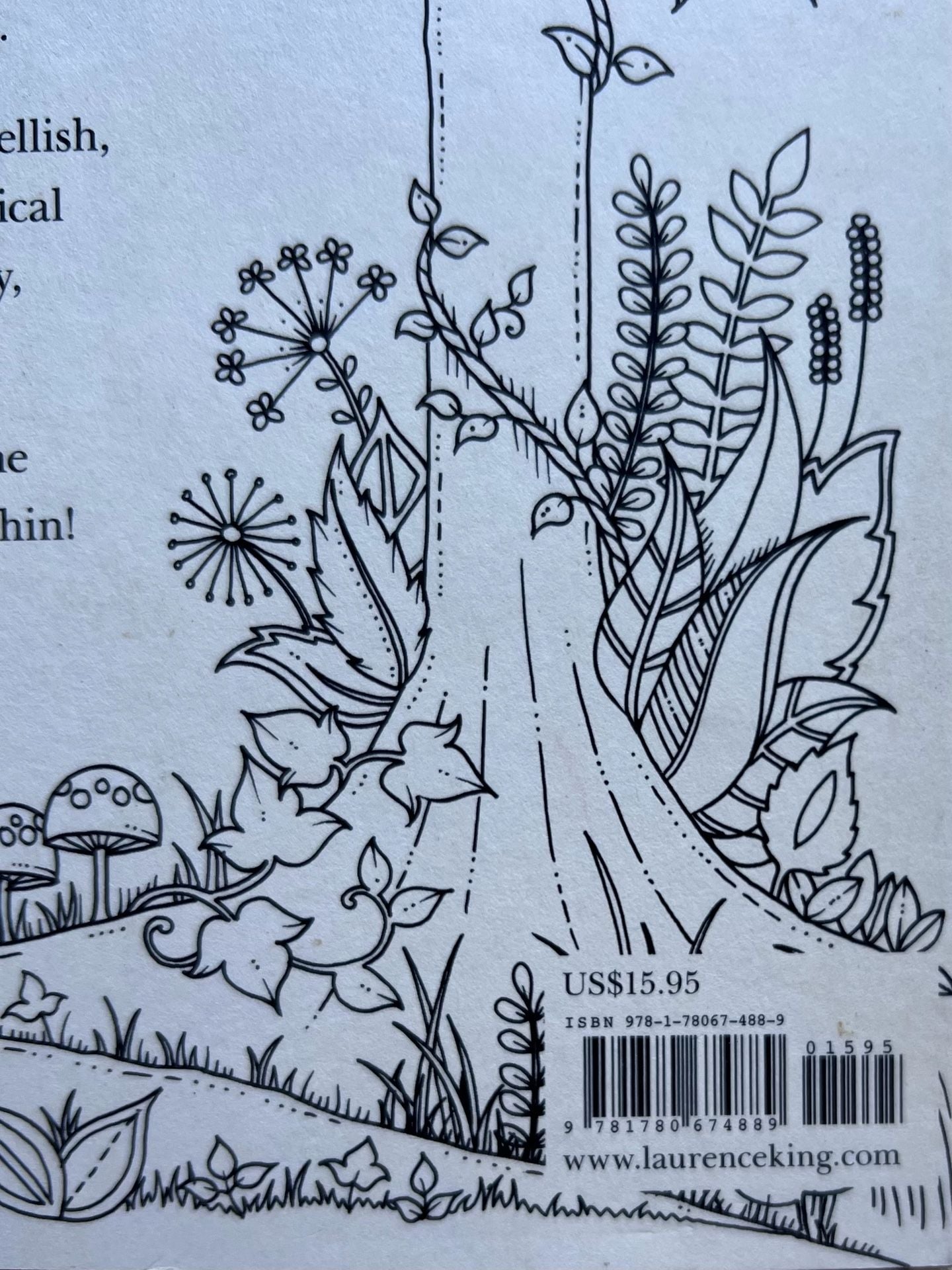 Enchanted Forest An Inky Quest And Coloring Book By Johanna Basford 7