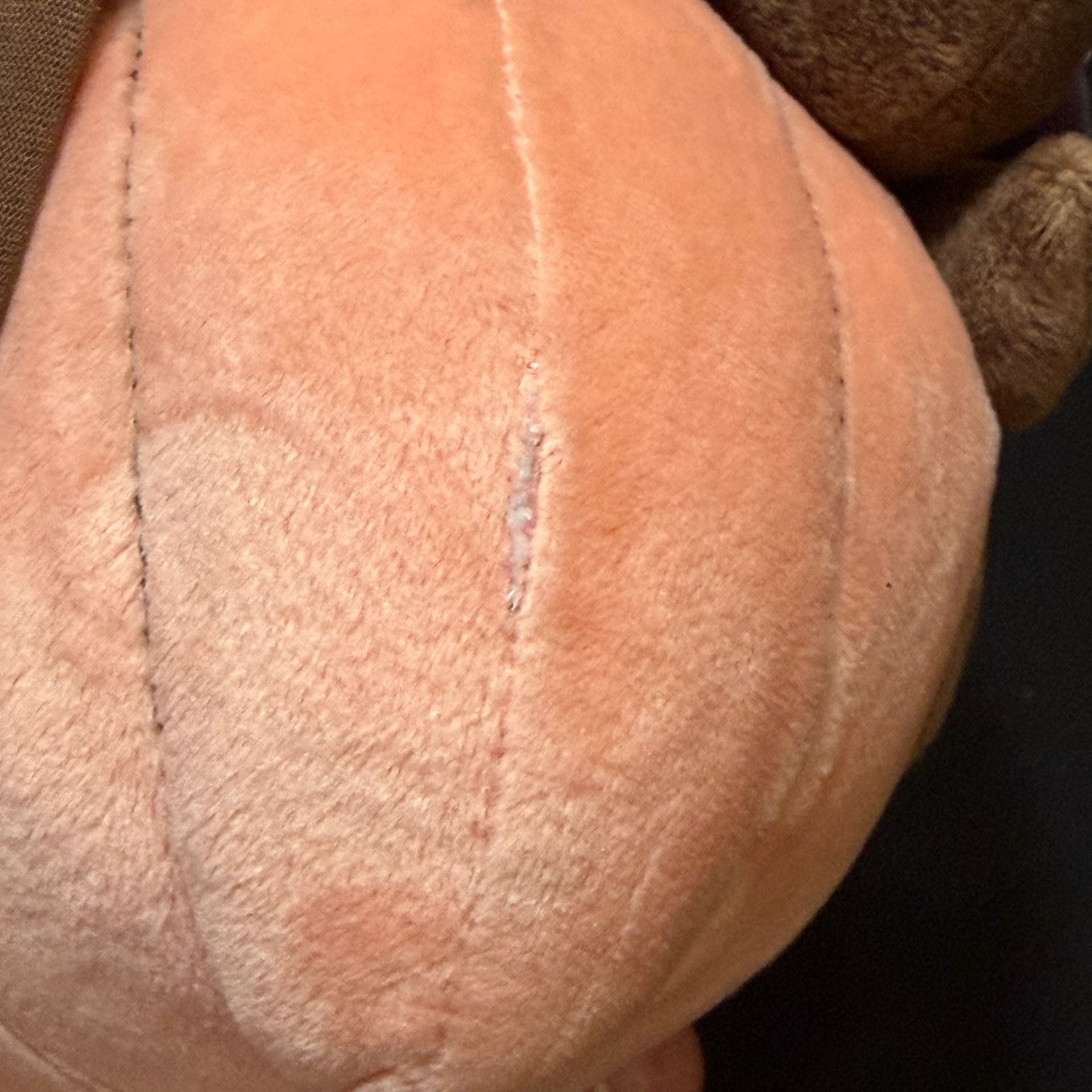2018 Pokemon Center Halloween Pumpkaboo Plush Doll Team Trick 5