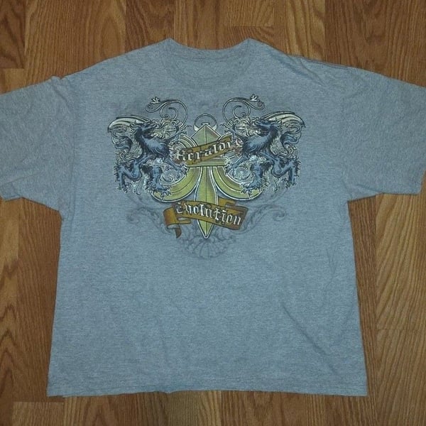 Heraldry Evolution Graphic T-Shirt Gray Y2K Grunge Streetwear