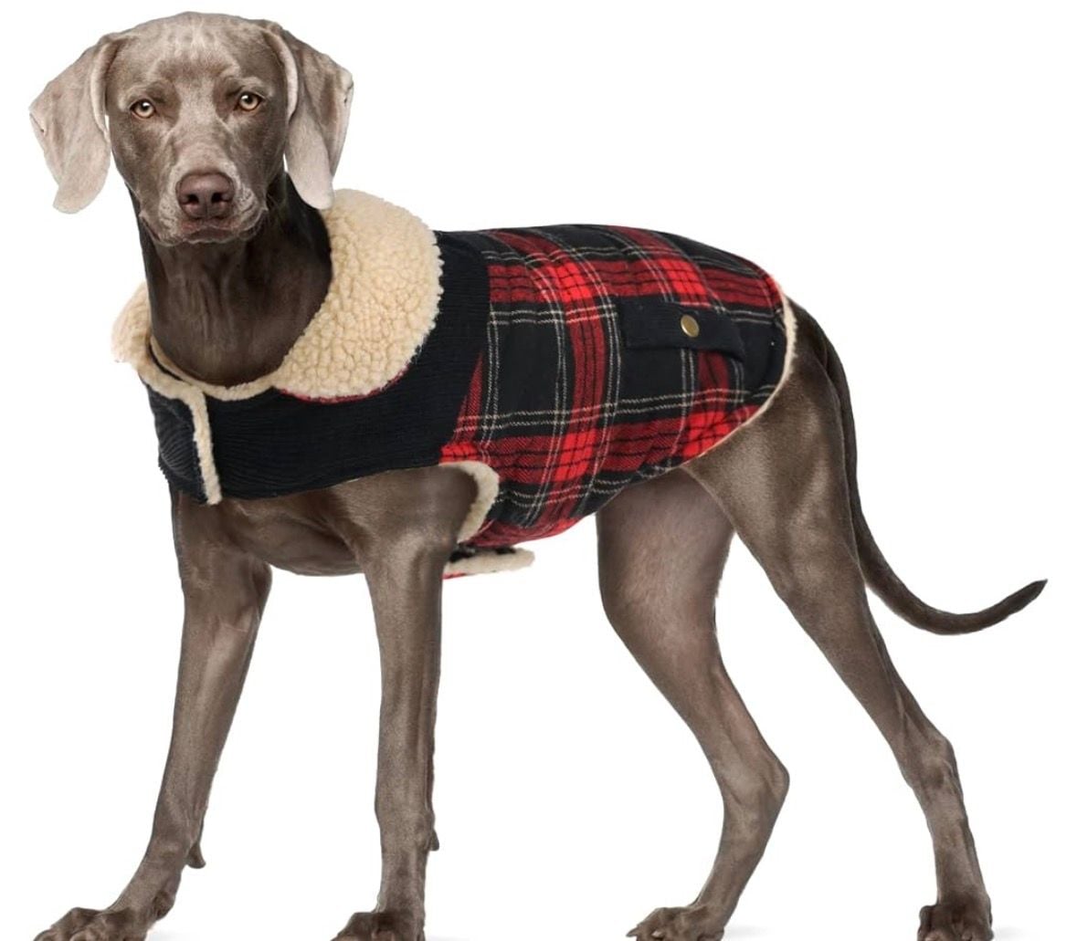 Preferhouse Winter Coat for Dogs Red Plaid Jacket XL 1