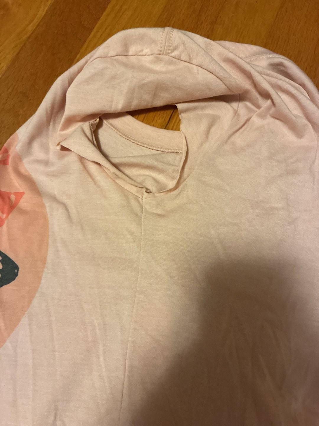 Bella+Canvas Destroy The Patriarchy Not The Planet T-Shirt Size S Pink Butterfly 9
