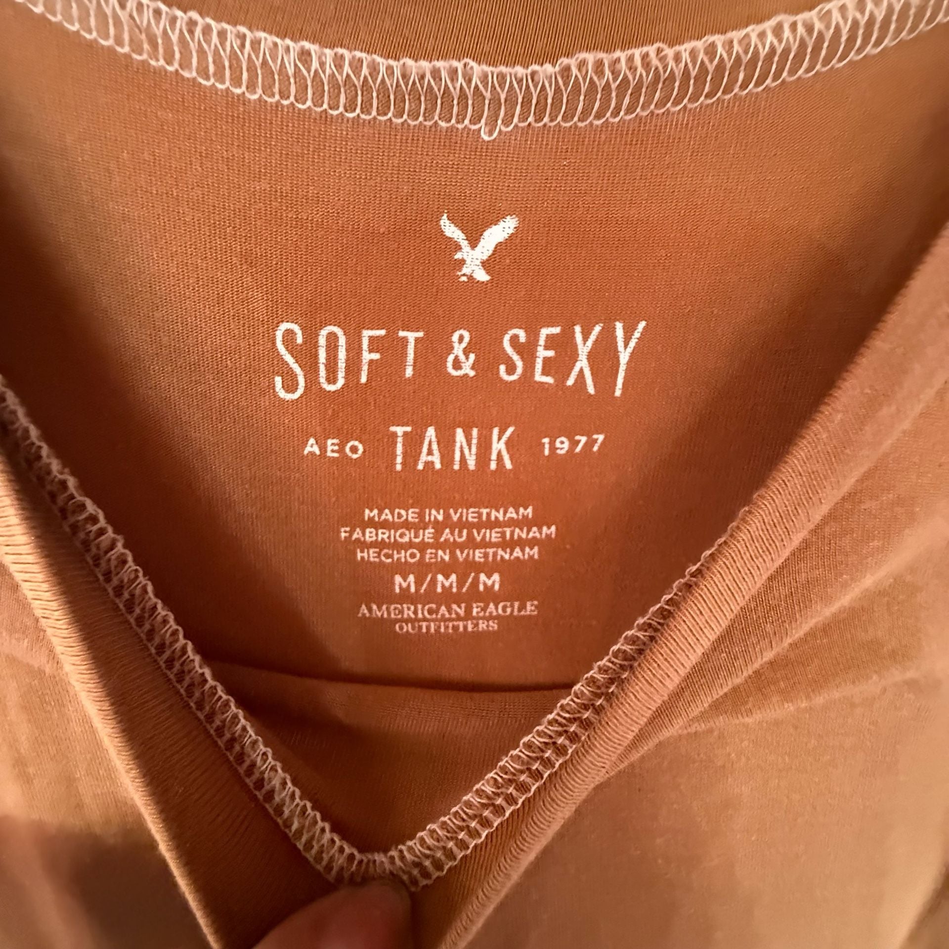 American Eagle Outfitters Soft & Sexy AEO Tank Size M Brown Sleeveless 3
