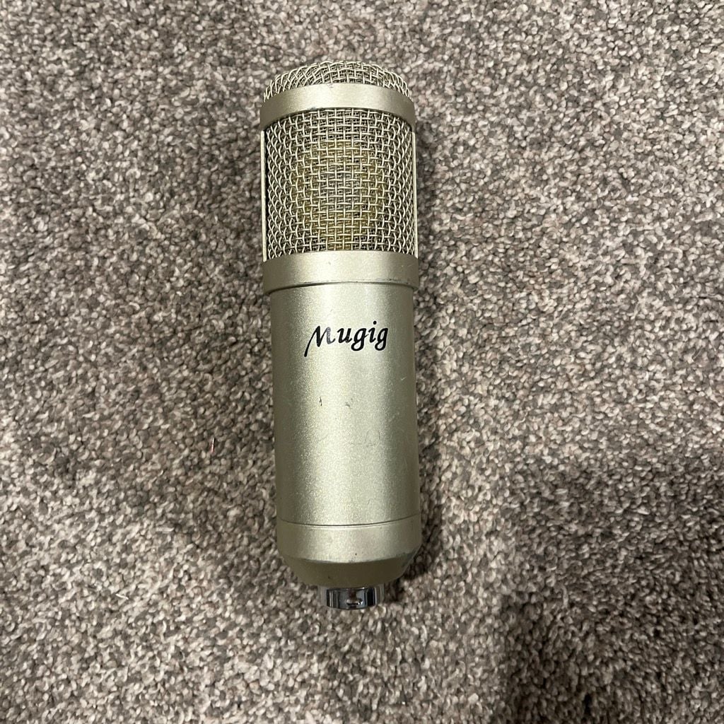 Mugig Condenser Microphone 1