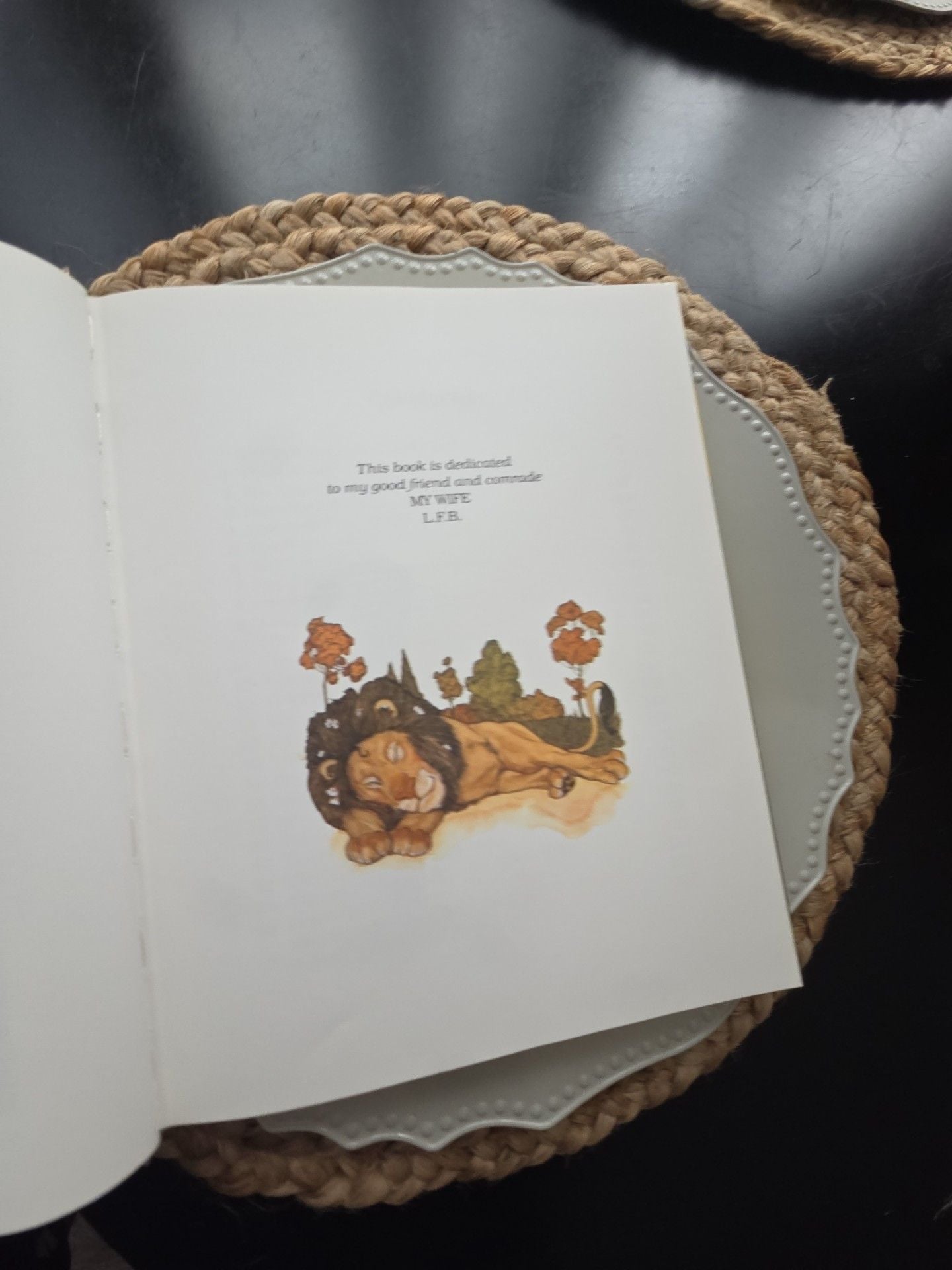 Henry Holt The Wizard Of Oz L Frank Baum Michael Hague 1982 5