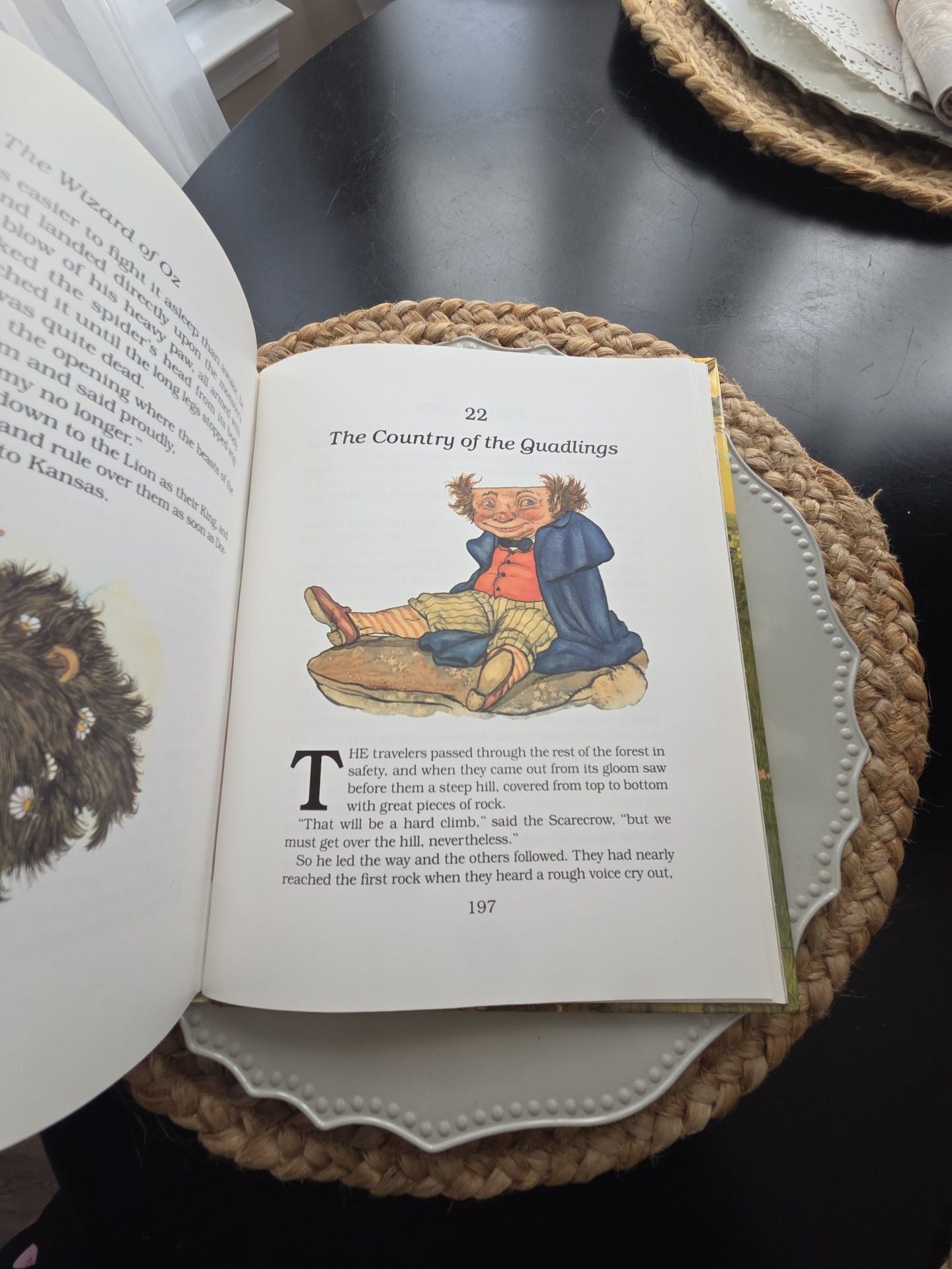 Henry Holt The Wizard Of Oz L Frank Baum Michael Hague 1982 8