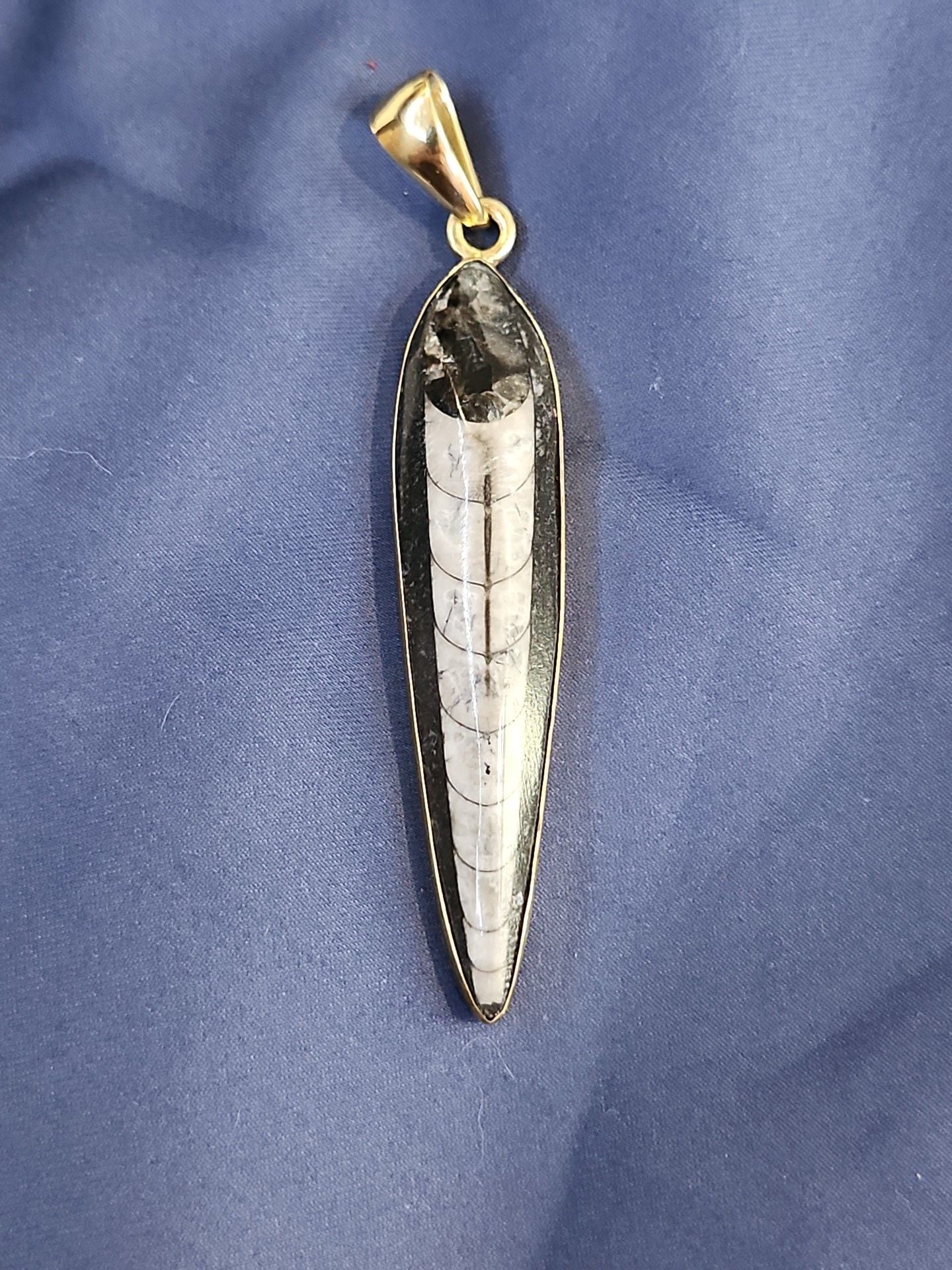 Charles Albert Orthoceras Fossil Pendant Gold Tone 2